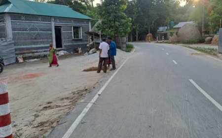 গাইবান্ধায় প্লাস্টিক বোতলের দৃষ্টিনন্দন বাড়ি, দেখতে ভিড়
