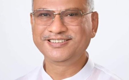 ঢাকা মহানগর উত্তর বিএনপির সাবেক আহবায়ক সাইফুল আলম নীরব