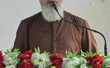 দুর্নীতিকে দেশের উন্নয়নের সবচেয়ে বড় বাধা উল্লেখ করে তা বন্ধে সবাইকে সচেতন হওয়ার আহ্বান জানিয়েছেন পিরোজপুর-১ আসনের এমপি পদপ্রার্থী ও জিয়ানগর উপজেলার সাবেক চেয়ারম্যান মাসুদ সাঈদী।