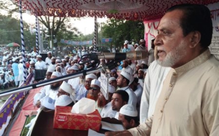 বাংলাদেশ খেলাফত মসলিস কুলিয়ারচর উপজেলা শাখার জনসমাবেশ সংহতি প্রকাশ করে বক্তব্য রাখছেন, বিএনপি কুলিয়ারচর উপজেলা শাখার সংগ্রামী সভাপতি,সাবেক উপজেলা চেয়ারম্যান,জননেতা##জনাব_নূরুল_মিল্লাত সাহেব।