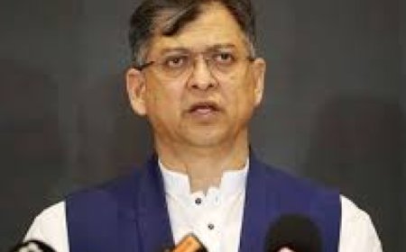 হাসিনার মৃত্যুদণ্ড একটি মাইলফলক রায়: সালাহউদ্দিন আহমদ