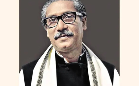 অফিসে শেখ মুজিবের ছবি টাঙানোর বিধান জুলাই সনদে, বিএনপির ক্ষোভ