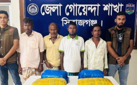 সিরাজগঞ্জে ২০ কেজি গাঁজাসহ ৪ মাদক ব্যবসায়ী গ্রেপ্তার