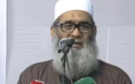 যারা আগে গণভোট চায় না তারা গণতন্ত্রে বিশ্বাসী না: মুজিবুর রহমান