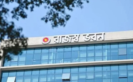 ৩০ নভেম্বরের মধ্যে ই-রিটার্নে আয়কর জমা দিতে এনবিআরের আহ্বান