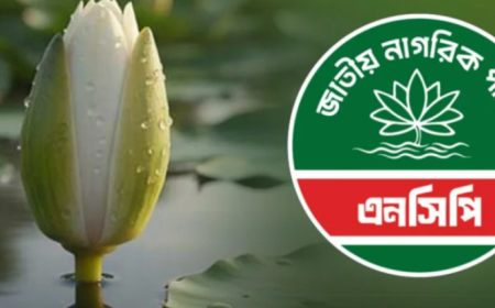 প্রতীক হিসেবে ‘শাপলা কলি’ নিতে সম্মত এনসিপি