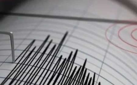 সোশ্যাল মিডিয়ায় ছড়িয়ে পড়া ভূমিকম্পসংক্রান্ত গুজবে আতঙ্কিত না হয়ে প্রয়োজনীয় সতর্কতা ও প্রস্তুতি গ্রহণের আহ্বান জানিয়েছেন দেশের শীর্ষস্থানীয় বিশেষজ্ঞ, গবেষক ও বিশ্ববিদ্যালয়ের অধ্যাপকরা।