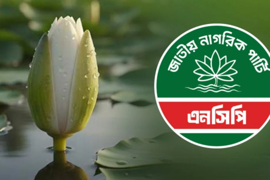 প্রতীক হিসেবে ‘শাপলা কলি’ নিতে সম্মত এনসিপি