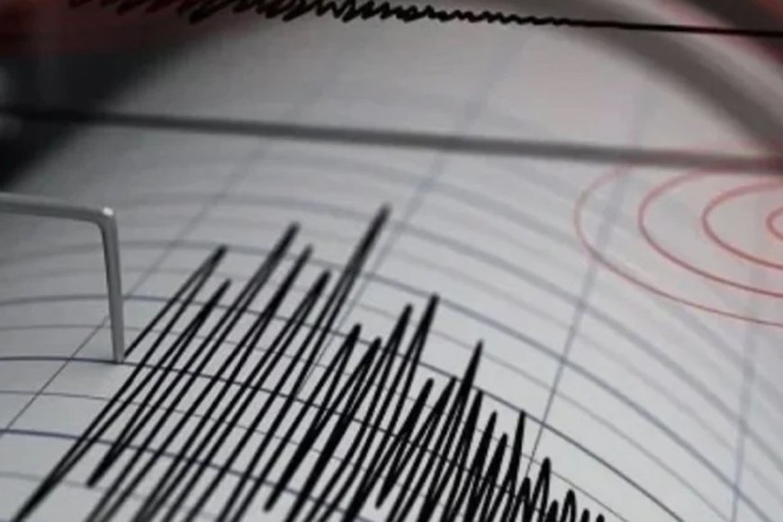 সোশ্যাল মিডিয়ায় ছড়িয়ে পড়া ভূমিকম্পসংক্রান্ত গুজবে আতঙ্কিত না হয়ে প্রয়োজনীয় সতর্কতা ও প্রস্তুতি গ্রহণের আহ্বান জানিয়েছেন দেশের শীর্ষস্থানীয় বিশেষজ্ঞ, গবেষক ও বিশ্ববিদ্যালয়ের অধ্যাপকরা।