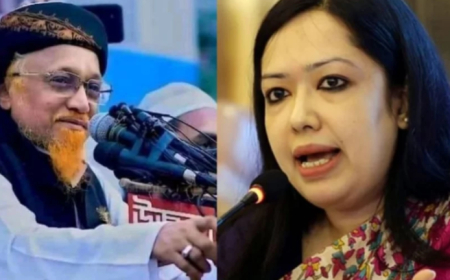 রুমিন ফারহানার প্রত্যাশিত আসন পেলেন জমিয়তের জুনায়েদ আল হাবিব