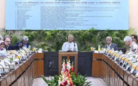 একনেকে ৪৬ হাজার ৪১৯ কোটি টাকার ২২ প্রকল্প অনুমোদন