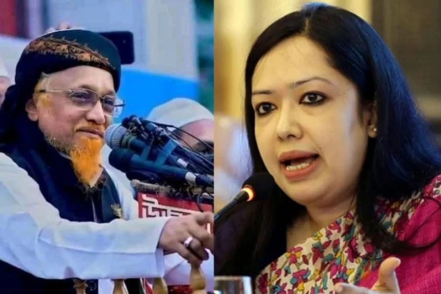 রুমিন ফারহানার প্রত্যাশিত আসন পেলেন জমিয়তের জুনায়েদ আল হাবিব