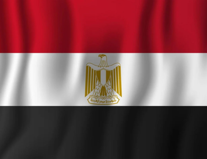 তারেক রহমানকে মিশরের অভিনন্দন